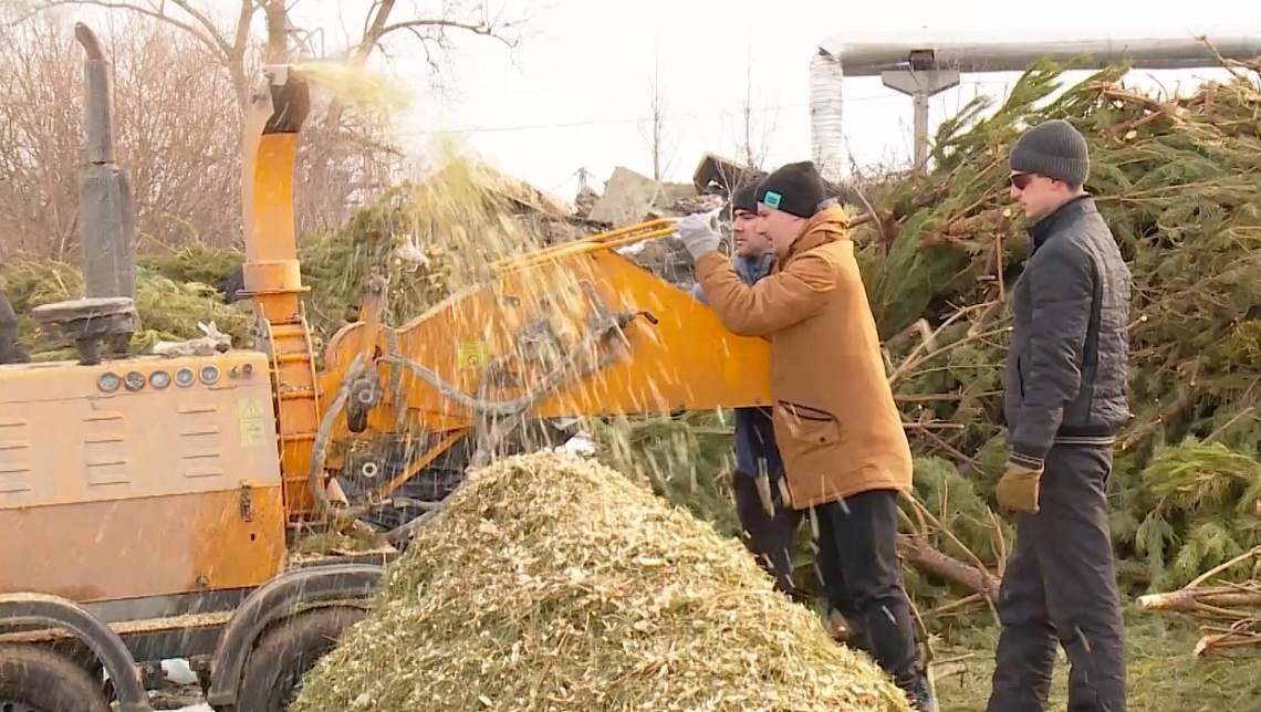 В Пензе переработали почти четыре тысячи новогодних елок
